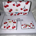 Coach bundle