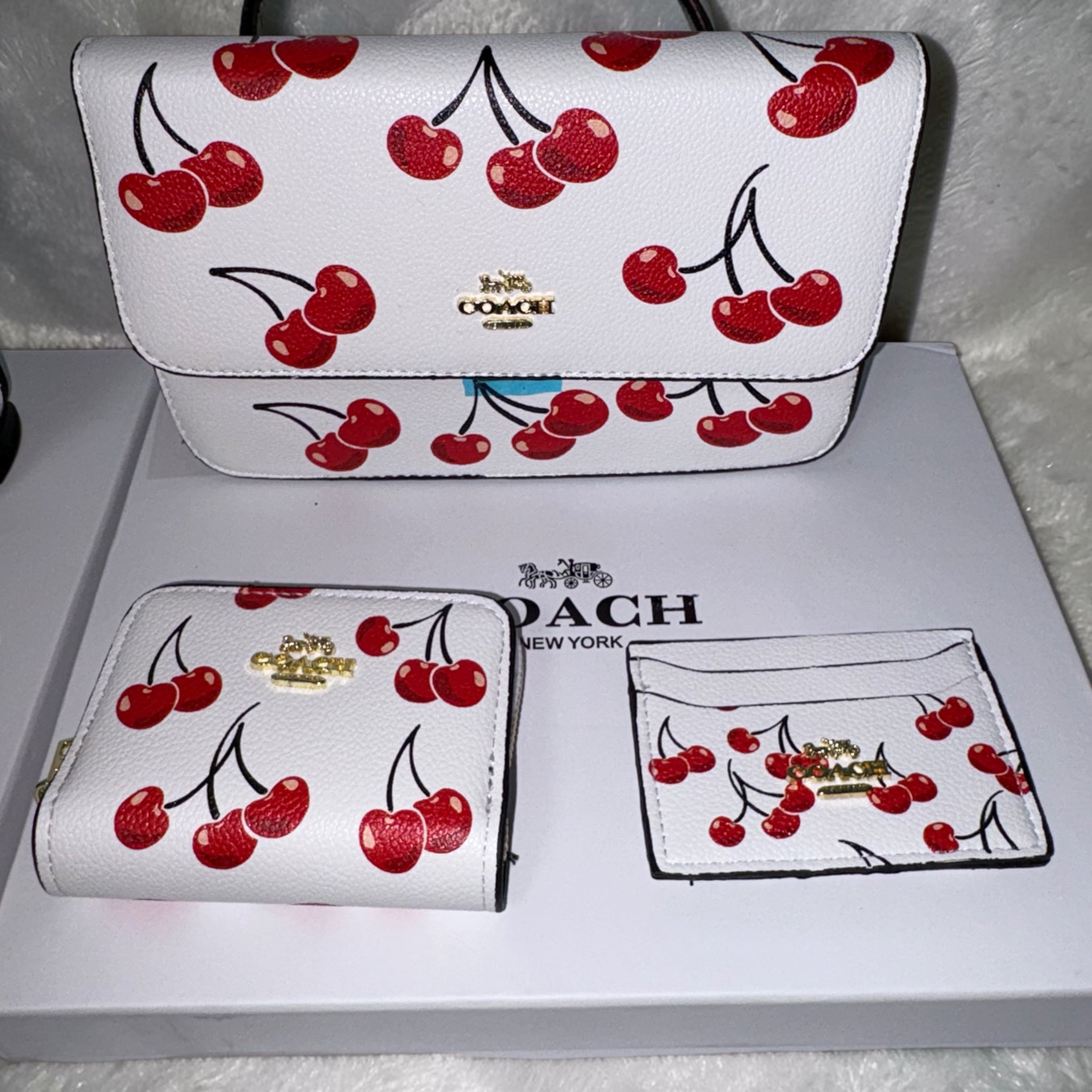 Coach bundle